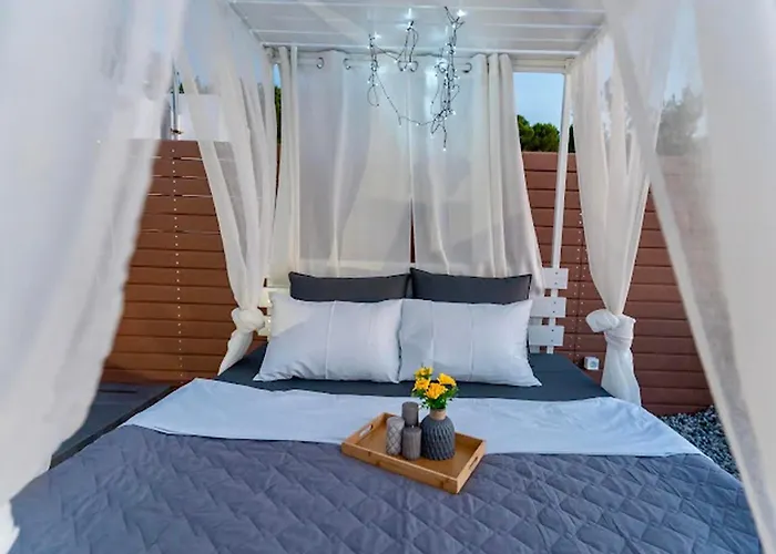 Sunny Nest * 익시아